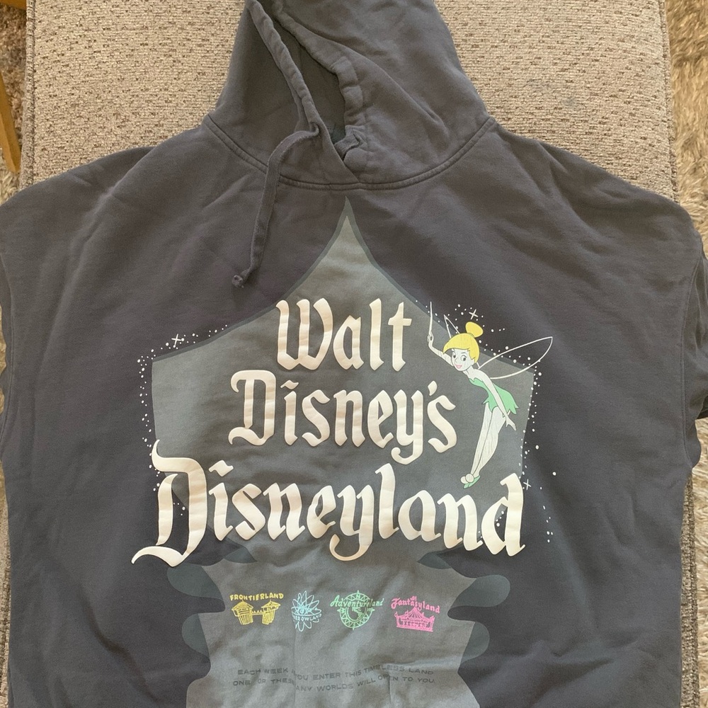 Disneyland women hoodie. Tinker bell